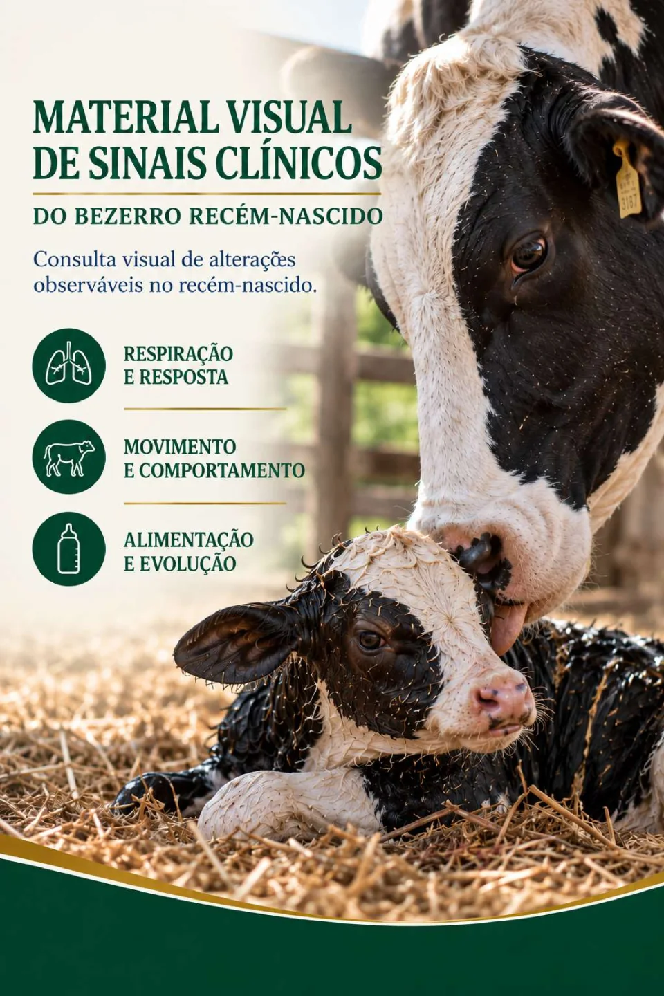 Capa do bônus Material Visual de Sinais Clínicos do Bezerro Recém-Nascido