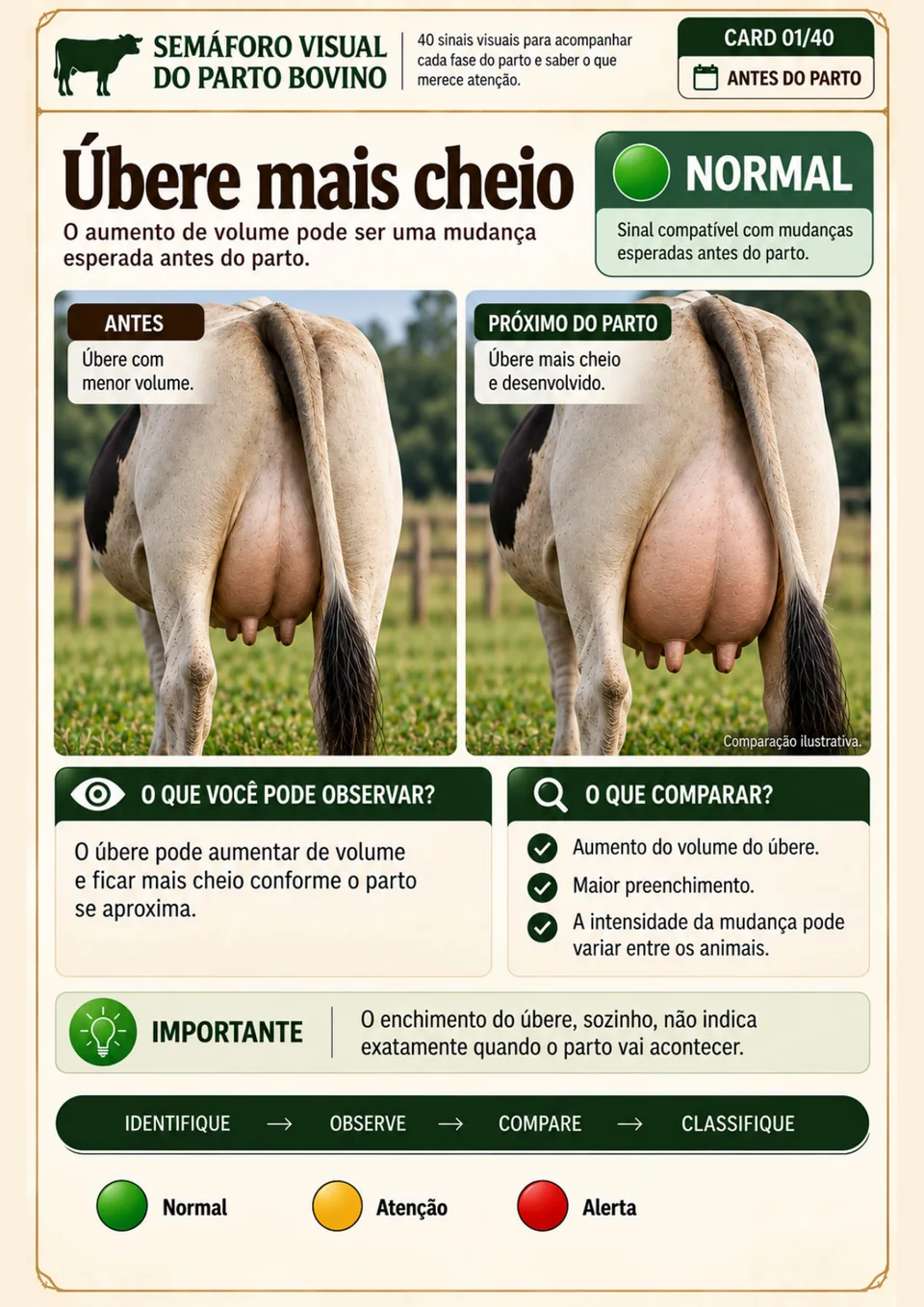 Página interna do Semáforo Visual sobre úbere mais cheio, classificada como Normal