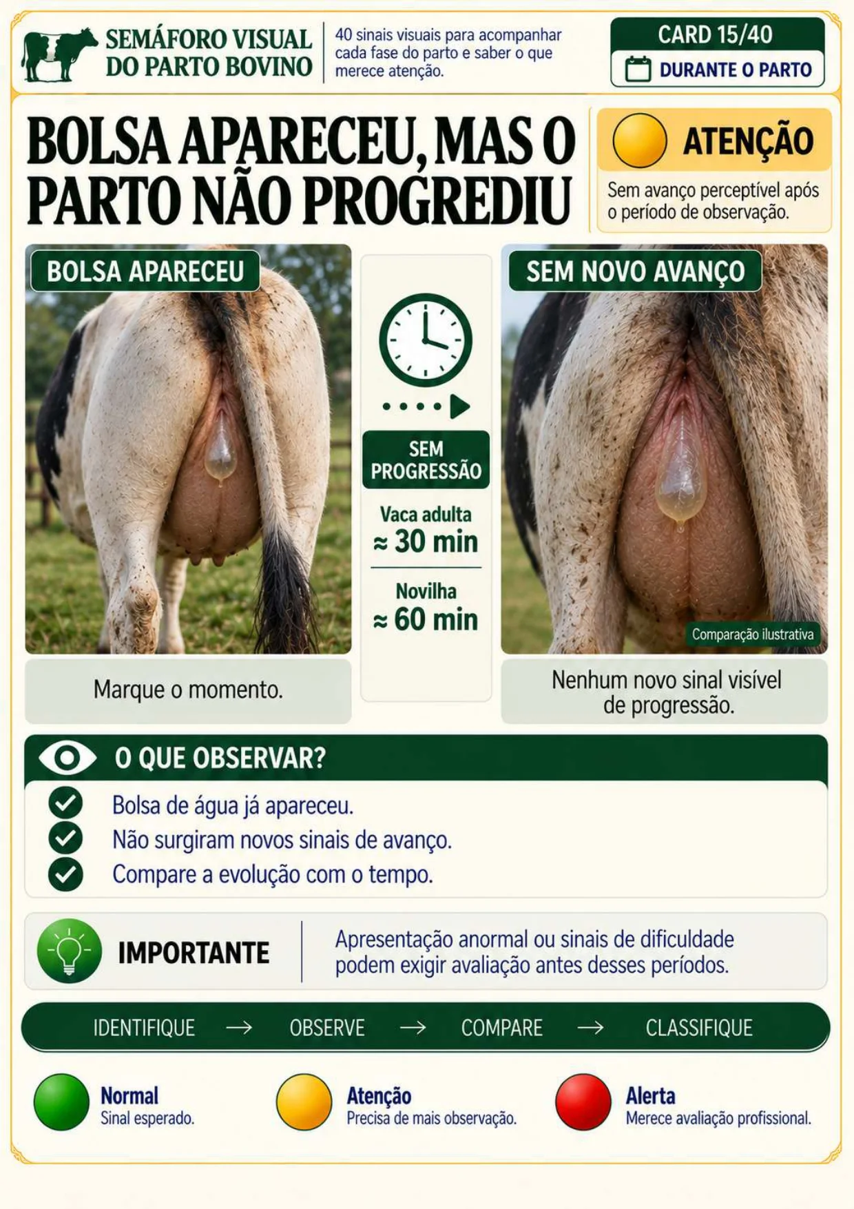 Página interna do Semáforo Visual sobre bolsa aparente sem progresso do parto, classificada como Atenção