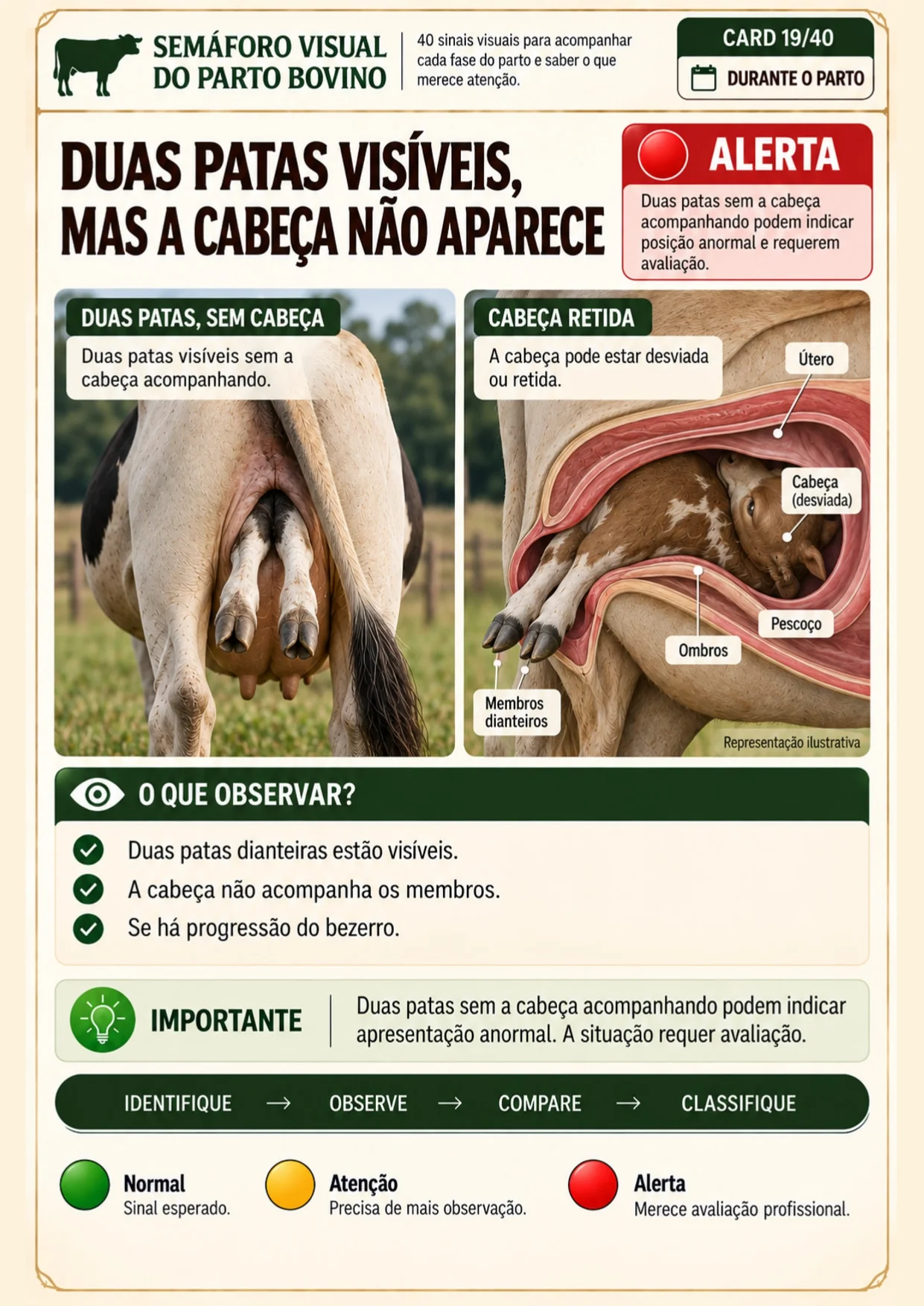 Página interna do Semáforo Visual sobre duas patas visíveis sem a cabeça acompanhando, classificada como Alerta