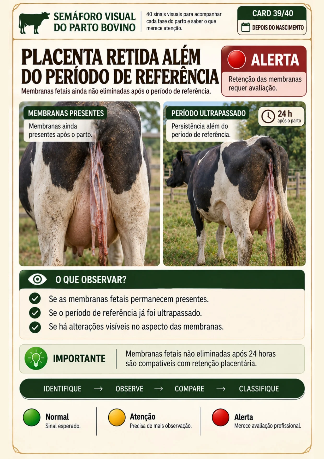 Página interna do Semáforo Visual sobre placenta retida além do período de referência, classificada como Alerta